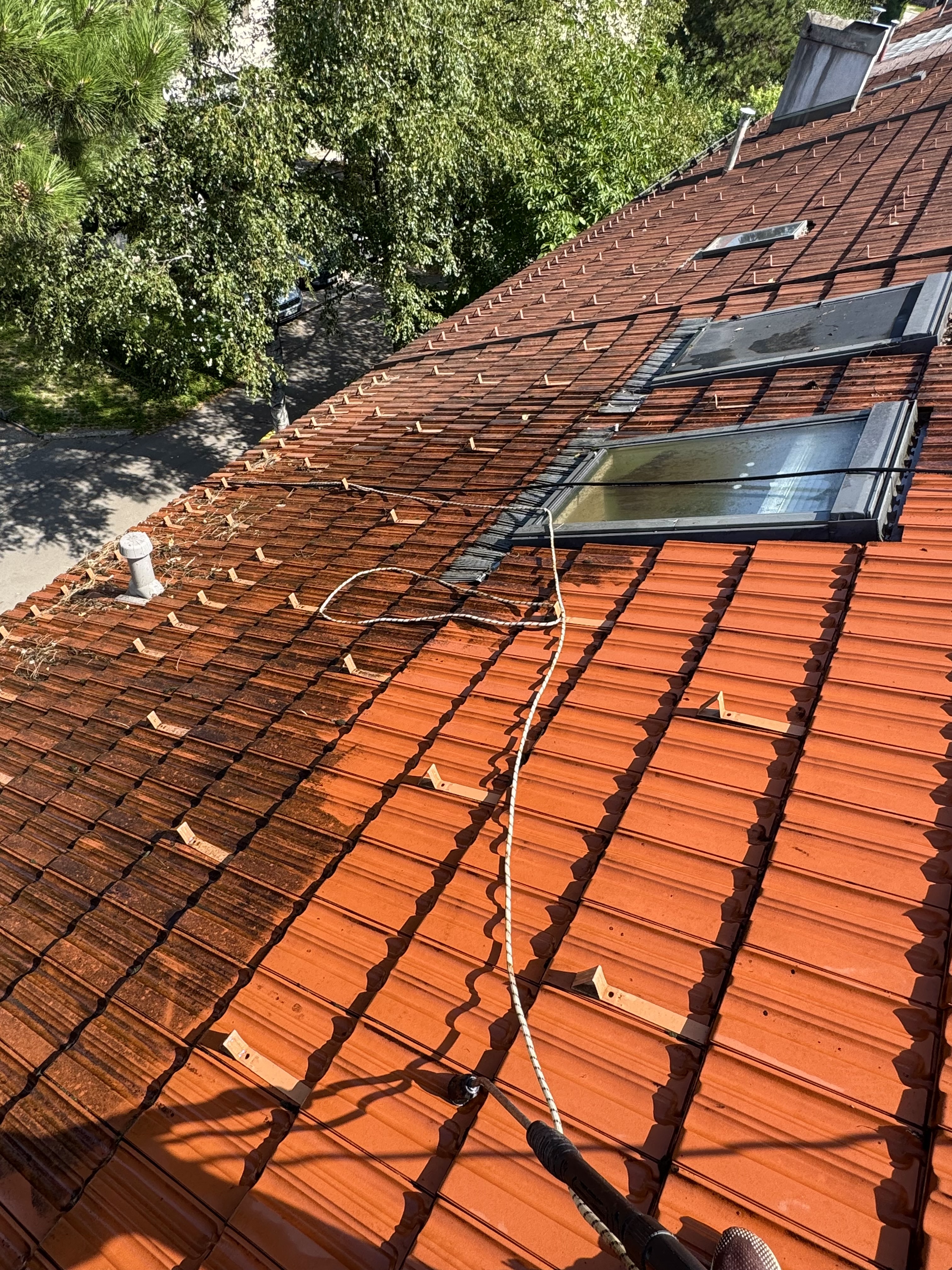 ./IMG_6997_1775208028591